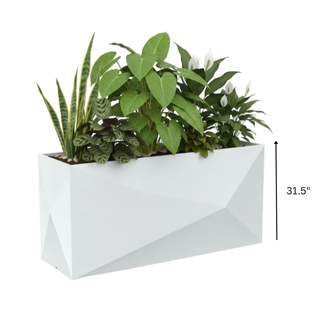 Faz Wall Planter 31.5"