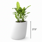 Stone Planter 27.5"