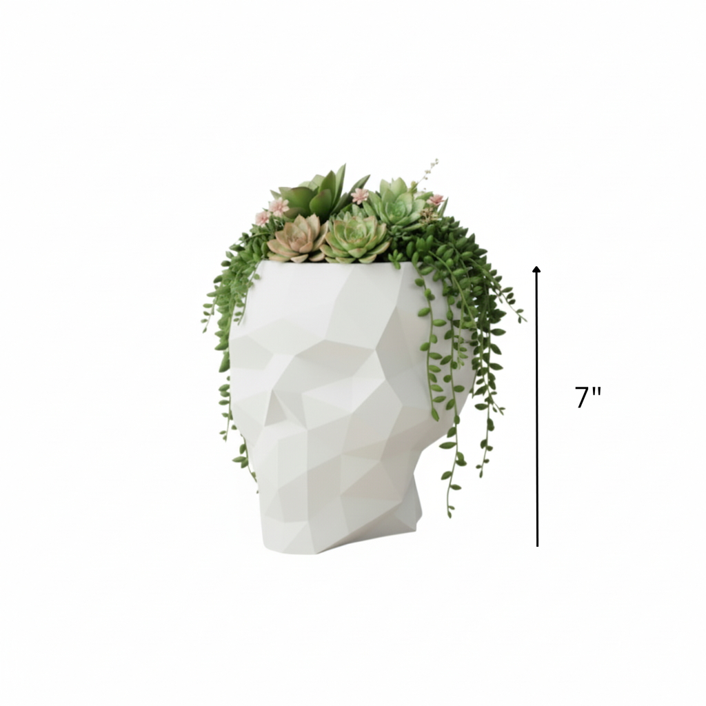 Skull Nano Planter