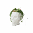 Skull Nano Planter