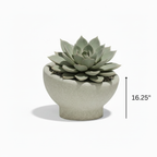 Luna Planter 16.25"
