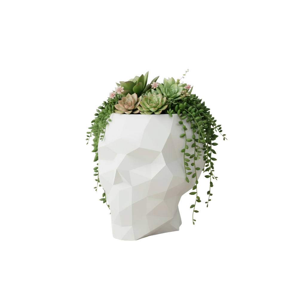 Skull Nano Planter