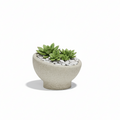Luna Planter 10.75"