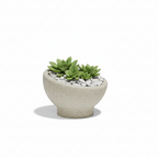 Luna Planter 10.75"