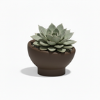 Luna Planter 16.25"