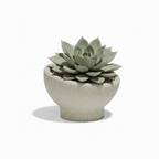 Luna Planter 16.25"