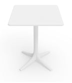 Palm Square Coffee/Dining Table