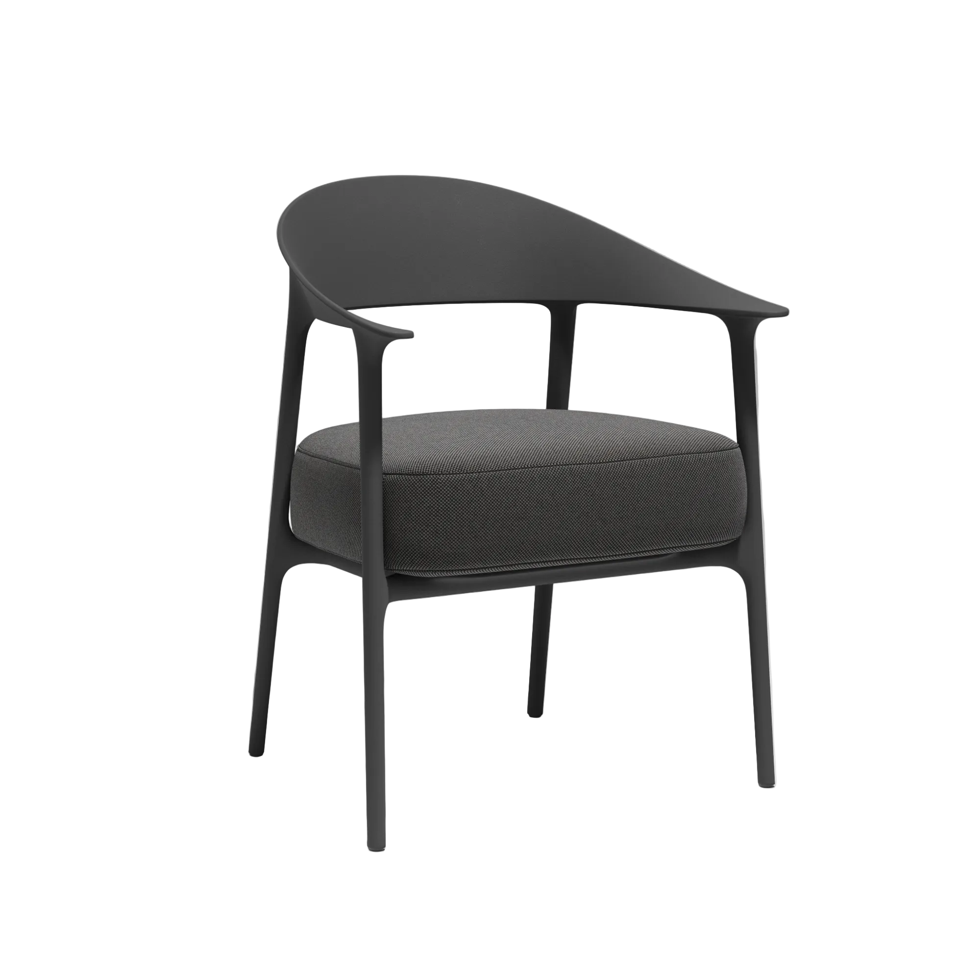 Africa Upholstered Armchair (Set of 2)