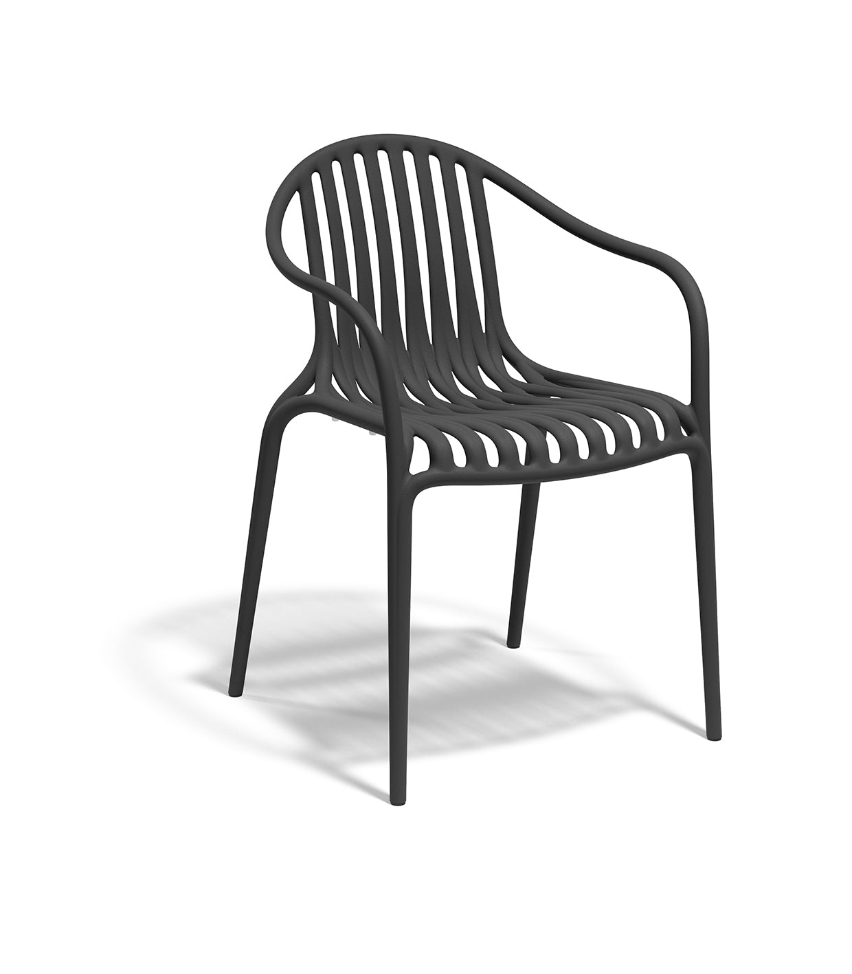 Palm Chair (Set of 2)