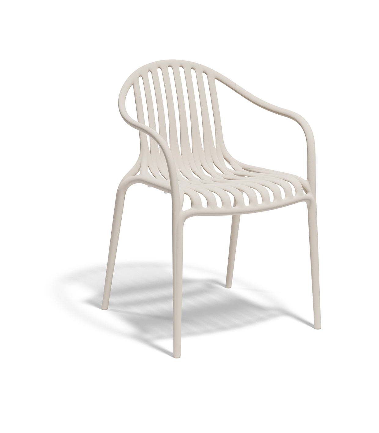 Palm Chair (Set of 2)