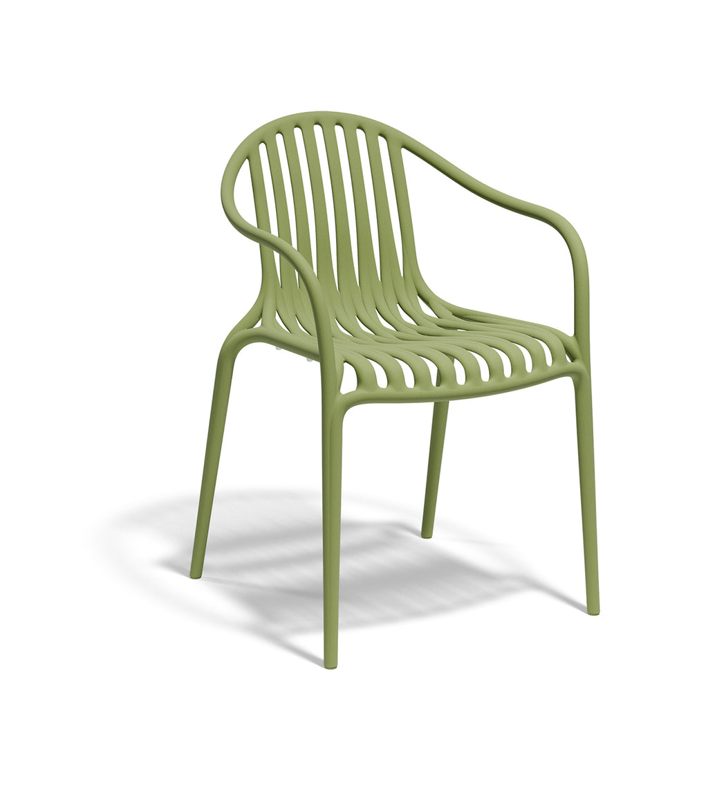 Palm Chair (Set of 2)