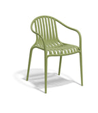 Palm Chair (Set of 2)