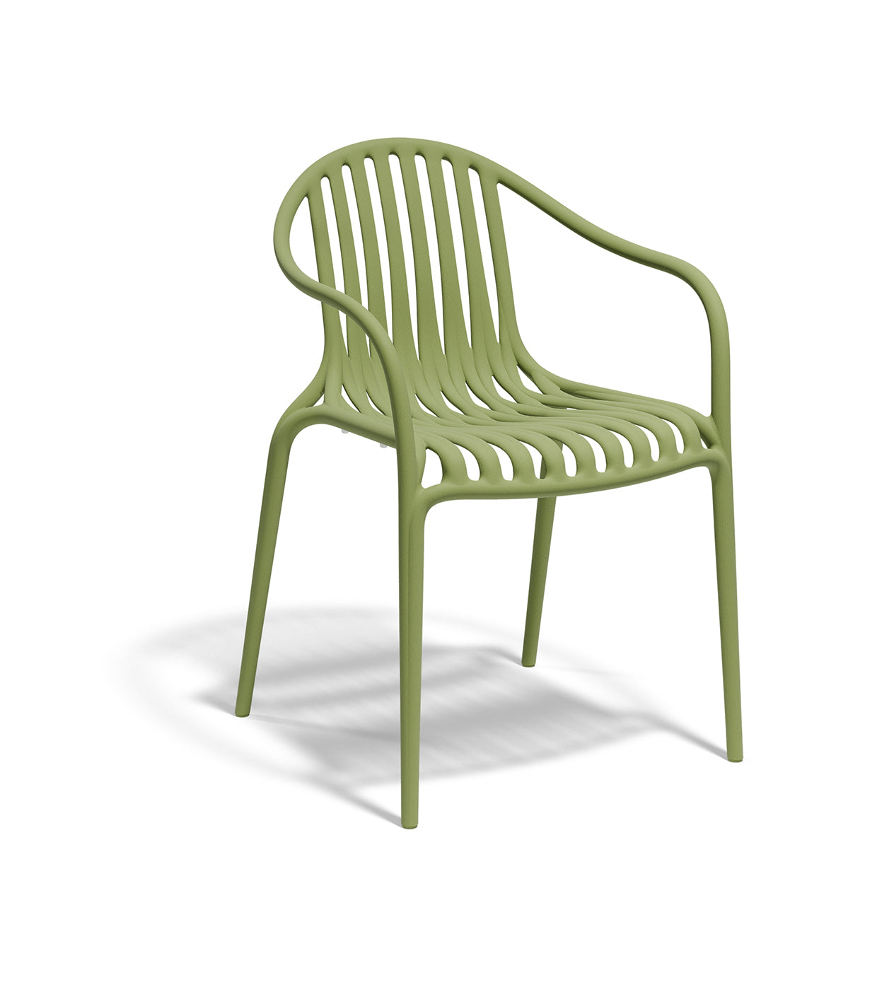 Palm Chair (Set of 2)