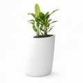 Stone Planter 39.25"
