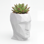 Adan Nano Planter