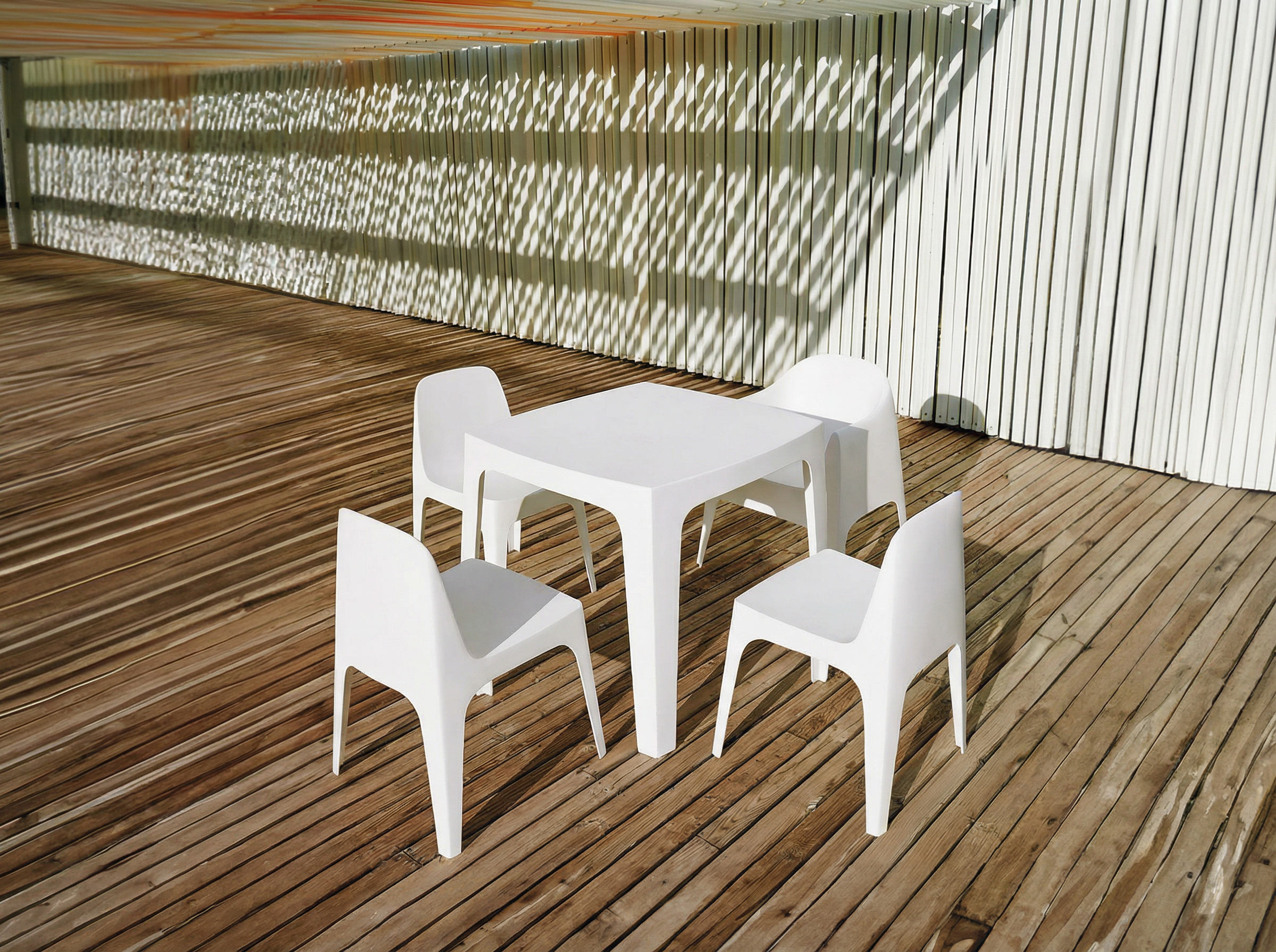 Solid Chair (Set of 2)